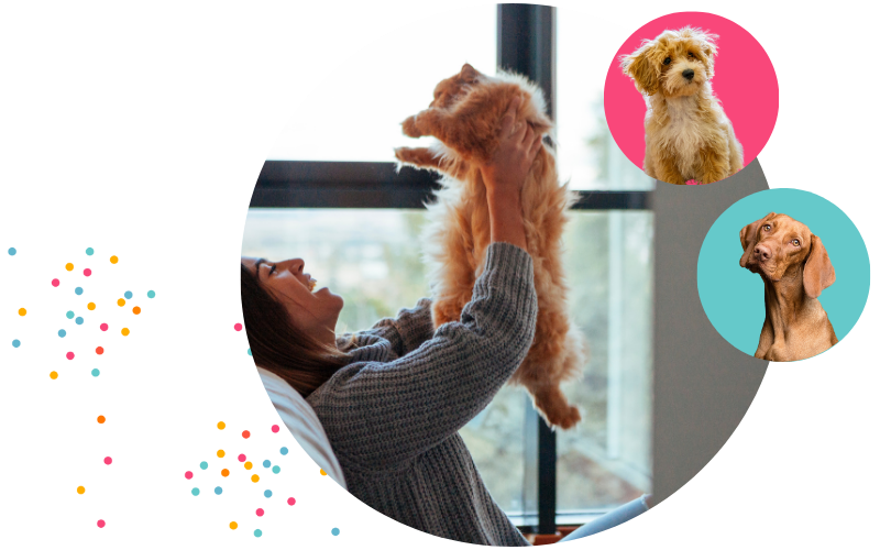 Pet products - hero image Pet products - hero image